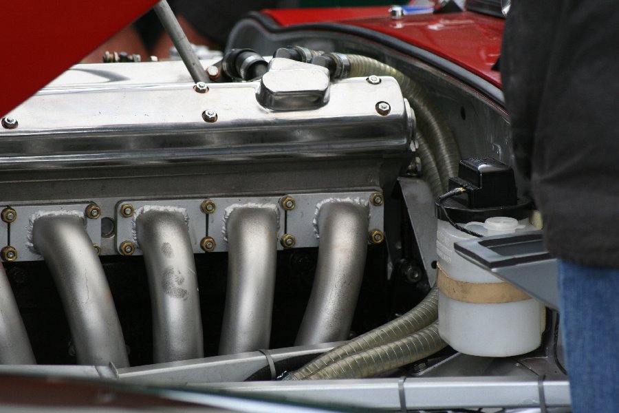 Image Copyright (C) jusseau.com 23 of 555  -  86 kB