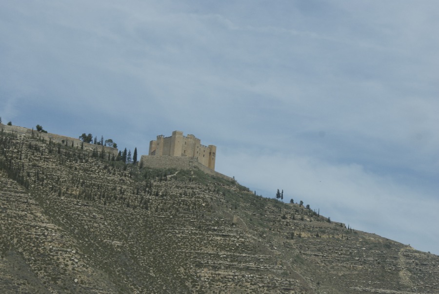 Image 477 of 608  -  116 kB