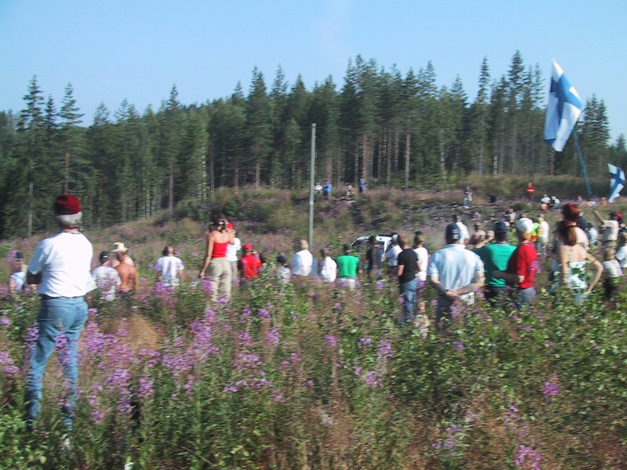 Image 64 of 248  -  173 kB