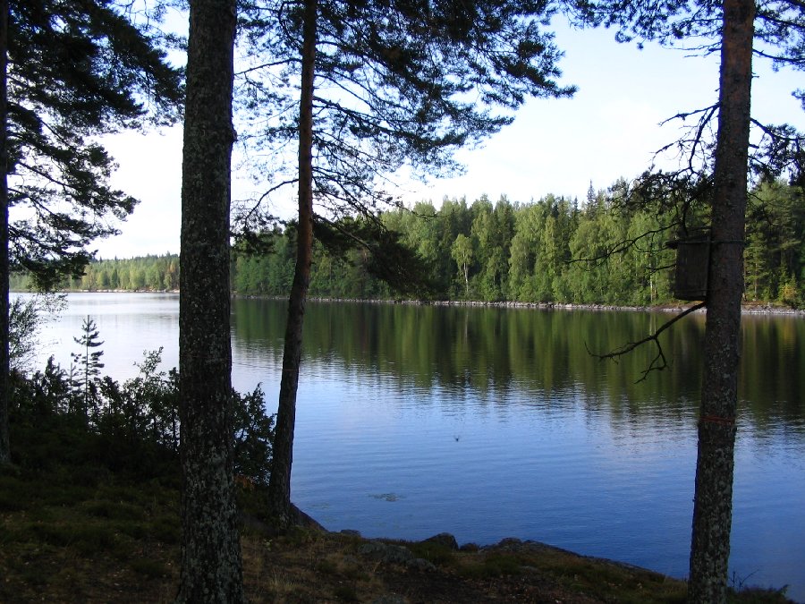 Image 1 of 336  -  184 kB