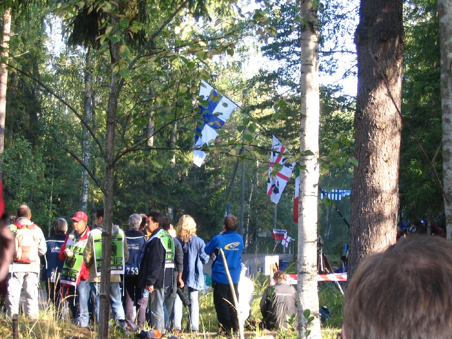 Image 77 of 336  -  231 kB