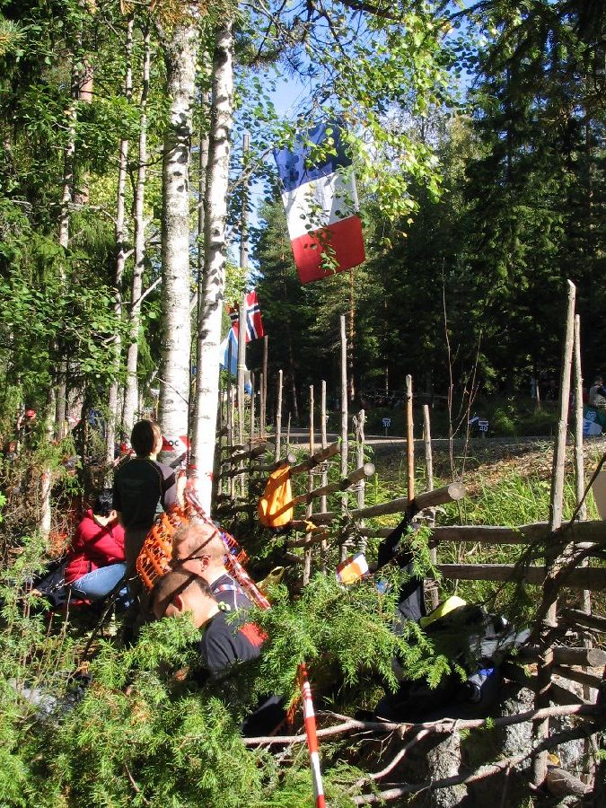 Image 85 of 336  -  254 kB